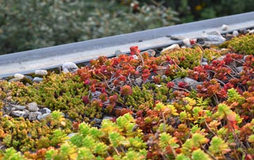 the cost of Mountbengerburn green roof installation
